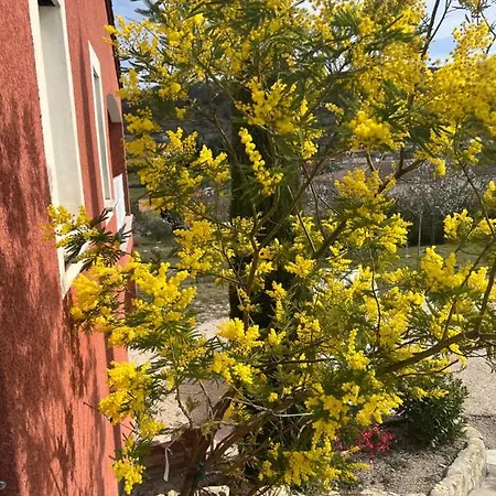 Le Du Vigneron * Lagorce (Ardeche)