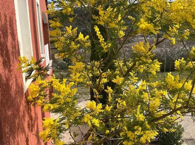 Le Du Vigneron * Lagorce (Ardeche)
